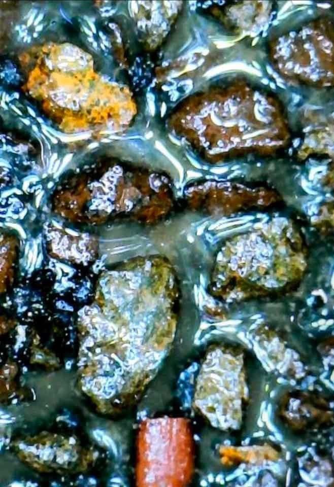 Asphalt shingle granules magnified, after NuRoof has penetrated and bonded