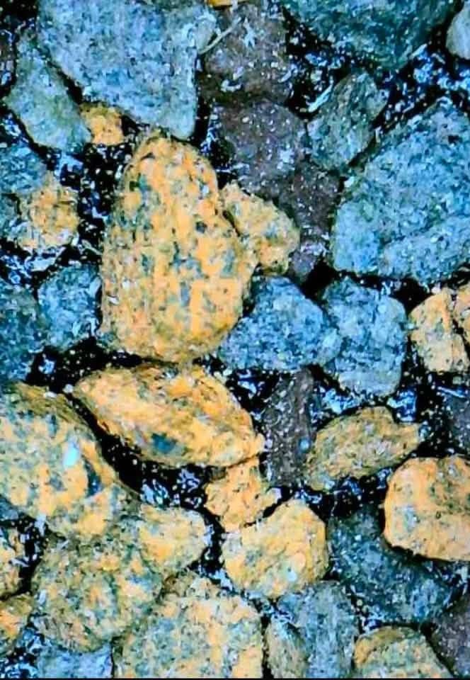 Asphalt shingle granules magnified, before NuRoof treatment